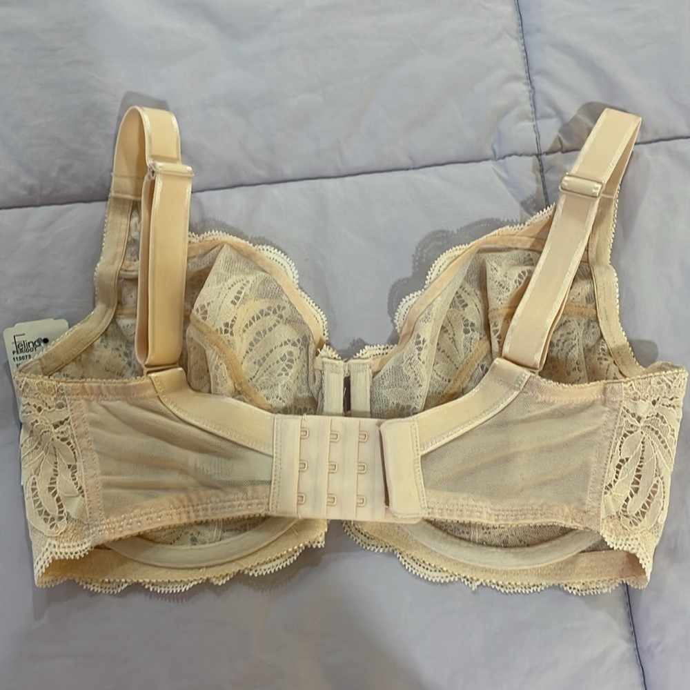 Felina Underwire Lace Bra - Picture 4 of 4